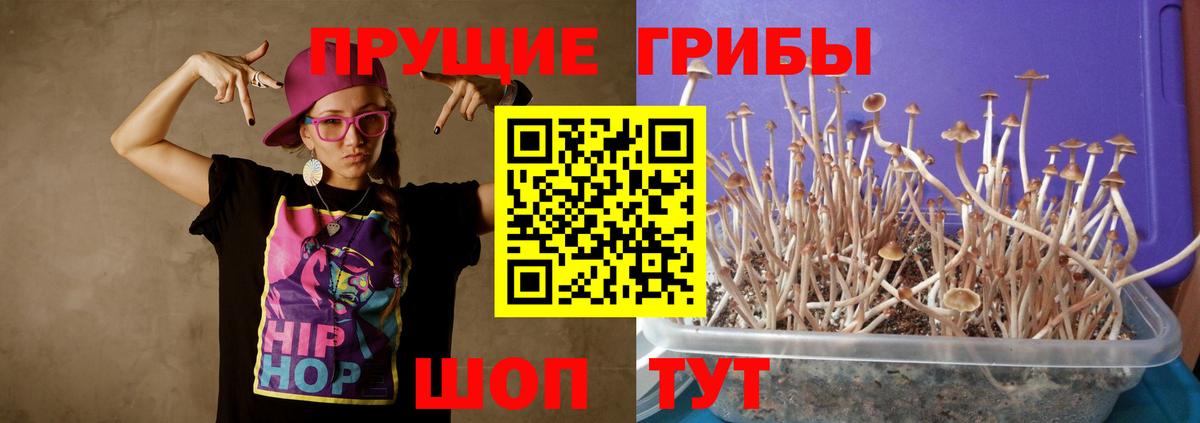 Галлюциногенные грибы прущие грибы  Вход с VPN  Черкесск 